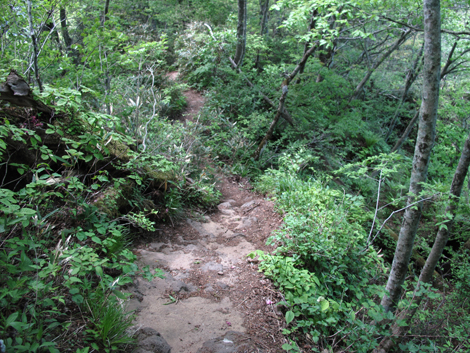 20140517hike (152)